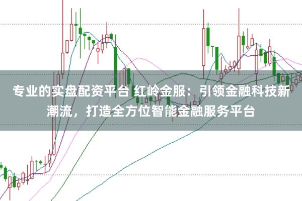 专业的实盘配资平台 红岭金服：引领金融科技新潮流，打造全方位智能金融服务平台