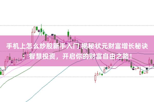 手机上怎么炒股新手入门 揭秘状元财富增长秘诀：智慧投资，开启你的财富自由之路！