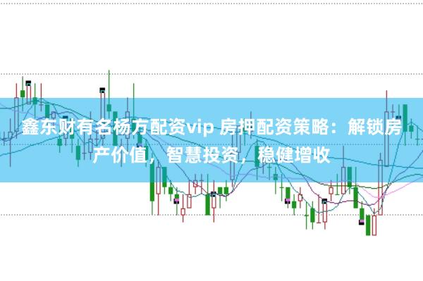 鑫东财有名杨方配资vip 房押配资策略：解锁房产价值，智慧投资，稳健增收