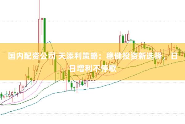 国内配资公司 天添利策略：稳健投资新选择，日日增利不停歇