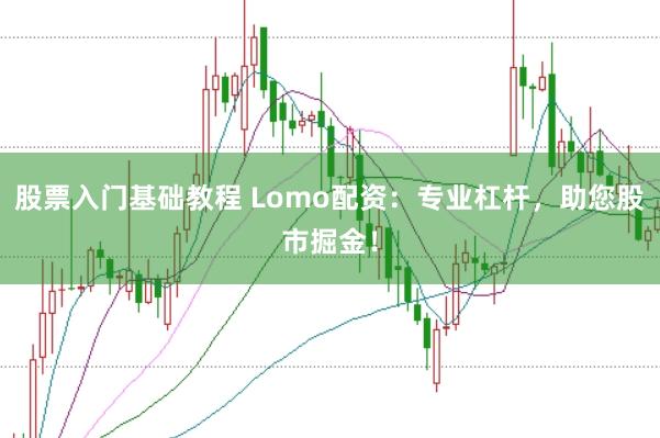 股票入门基础教程 Lomo配资：专业杠杆，助您股市掘金！