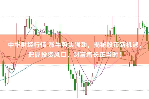 中华财经行情 涨牛势头强劲，揭秘股市新机遇，把握投资风口，财富增长正当时！