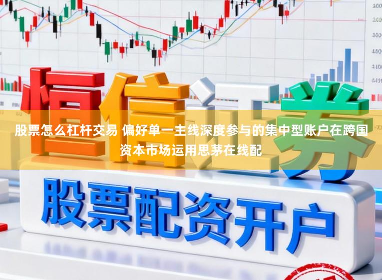 股票怎么杠杆交易 偏好单一主线深度参与的集中型账户在跨国资本市场运用思茅在线配