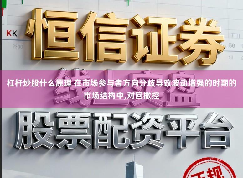 杠杆炒股什么原理 在市场参与者方向分歧导致波动增强的时期的市场结构中,对回撤控